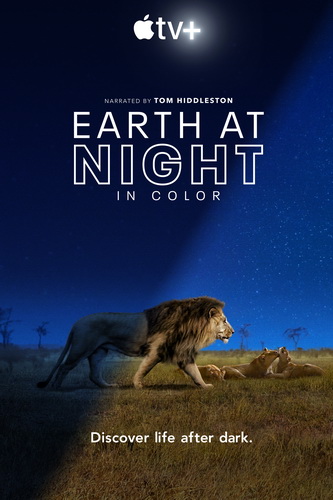 مستند زمین در شب به صورت رنگی