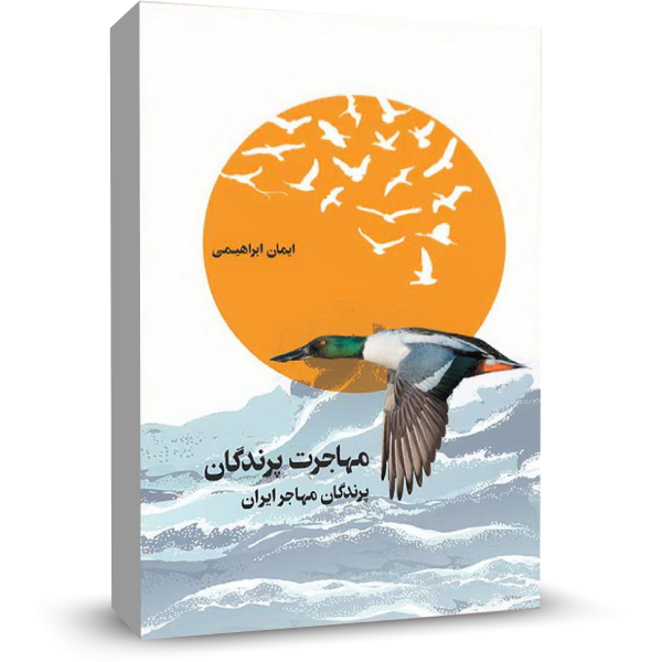 کتاب مهاجرت پرندگان